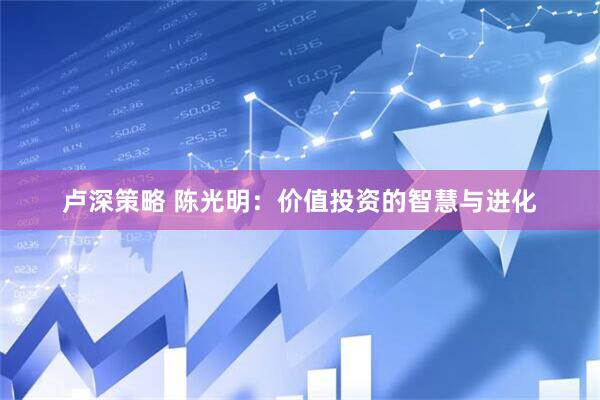 卢深策略 陈光明：价值投资的智慧与进化