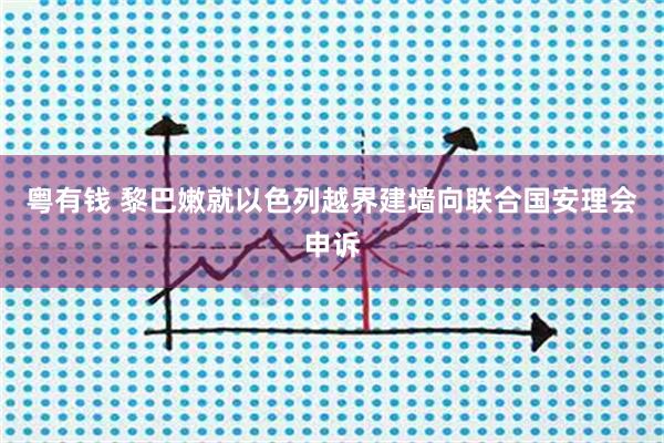 粤有钱 黎巴嫩就以色列越界建墙向联合国安理会申诉